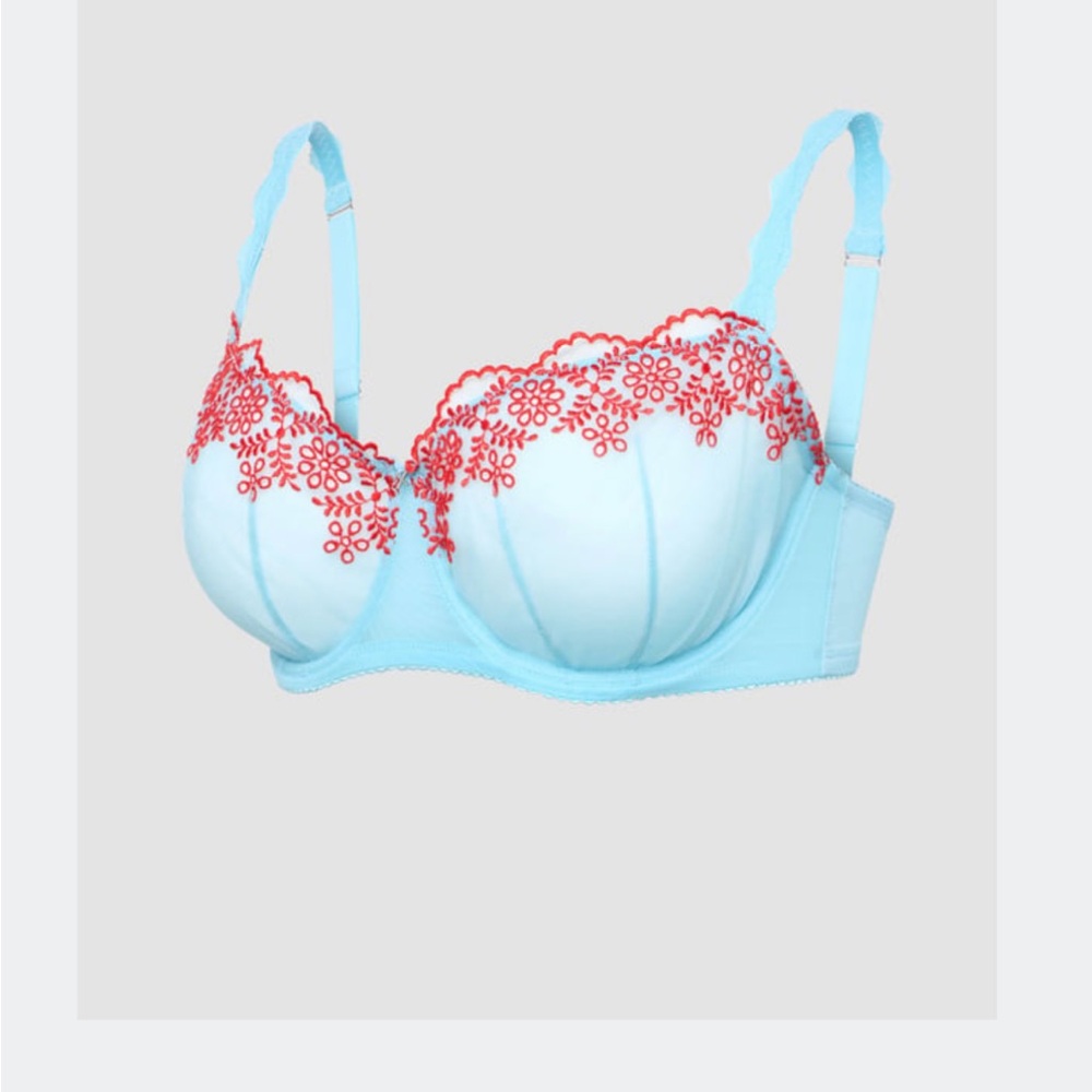 Savage X Fenty Light Blue Bra with Red Lace